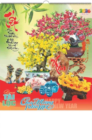  Bonsai Tài Lộc AM09